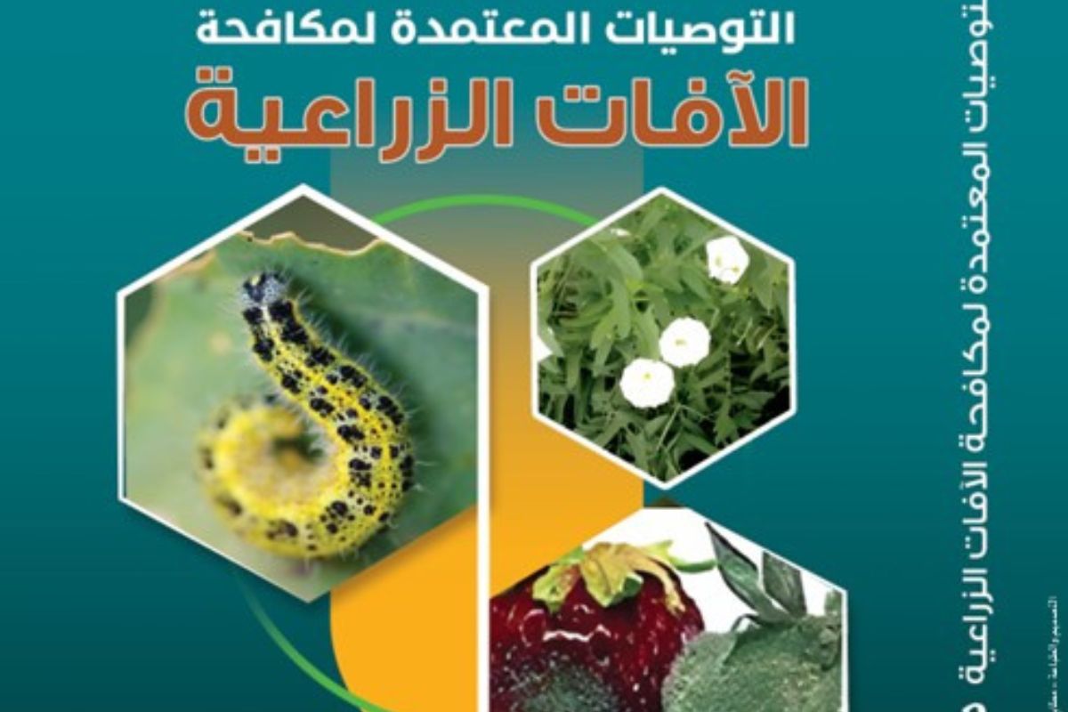التوصيات المعتمدة لمكافحة الآفات الزراعية 2025