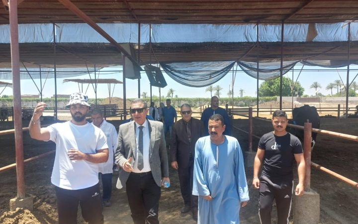 مزارع الإنتاج الحيواني