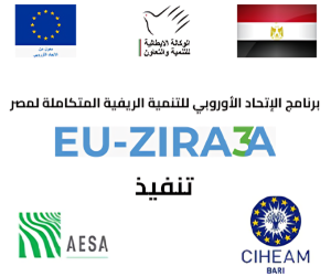 دليل الميسرين لمدارس المزارعين الحقلية في مصر أسس دمج تطبيقات الزراعة الذكية مناخيا 12 bd1a9ac5ba25419eb187901f6e4f7a21 1