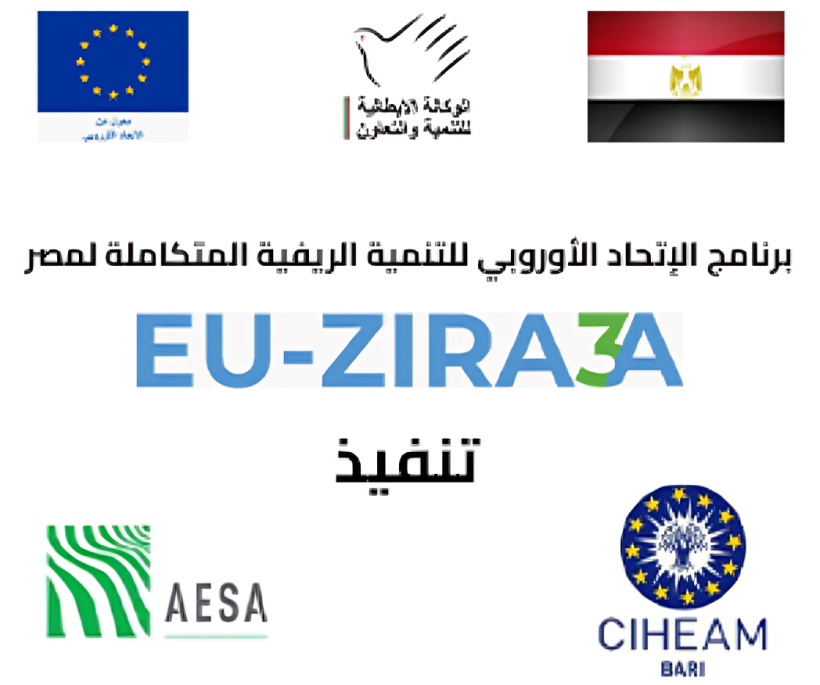 المصرية للدواجن