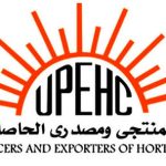 تقاوي بطاطس هيتما