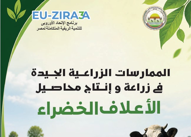 الممارسات الزراعية الجيدة في زراعة وإنتاج محاصيل الأعلاف الخضراء