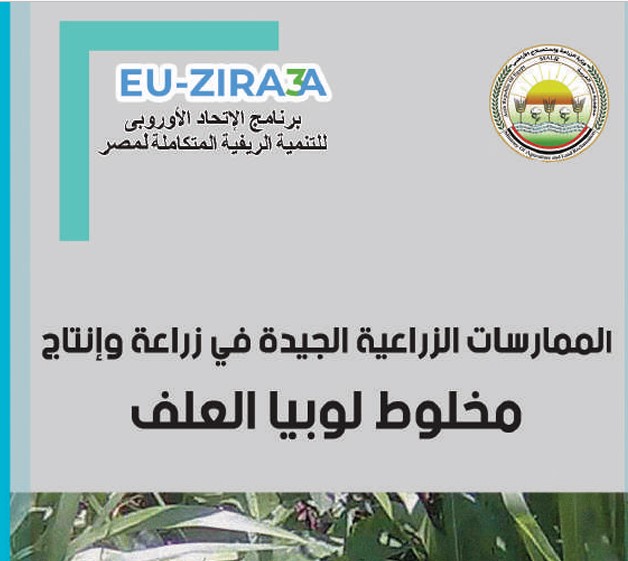 الممارسات الزراعية الجيدة في زراعة وإنتاج مخلوط لوبيا العلف