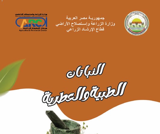 النباتات الطبية والعطرية