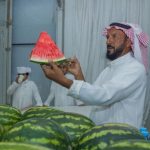 منتجات المزارعين الموسمية