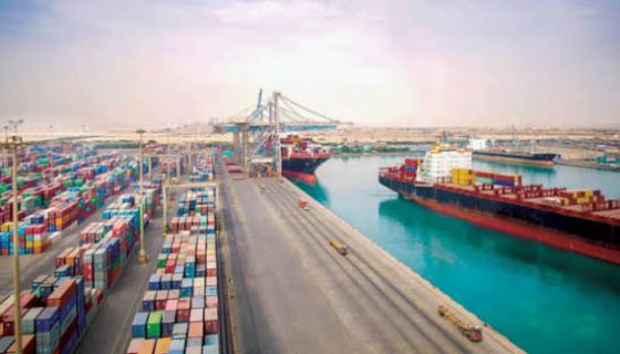 موانئ دبي تدعم فتح أسواق جديدة للمنتجات المصرية بإفريقيا 6 موانئ دبي تدعم فتح أسواق جديدة للمنتجات المصرية بإفريقيا