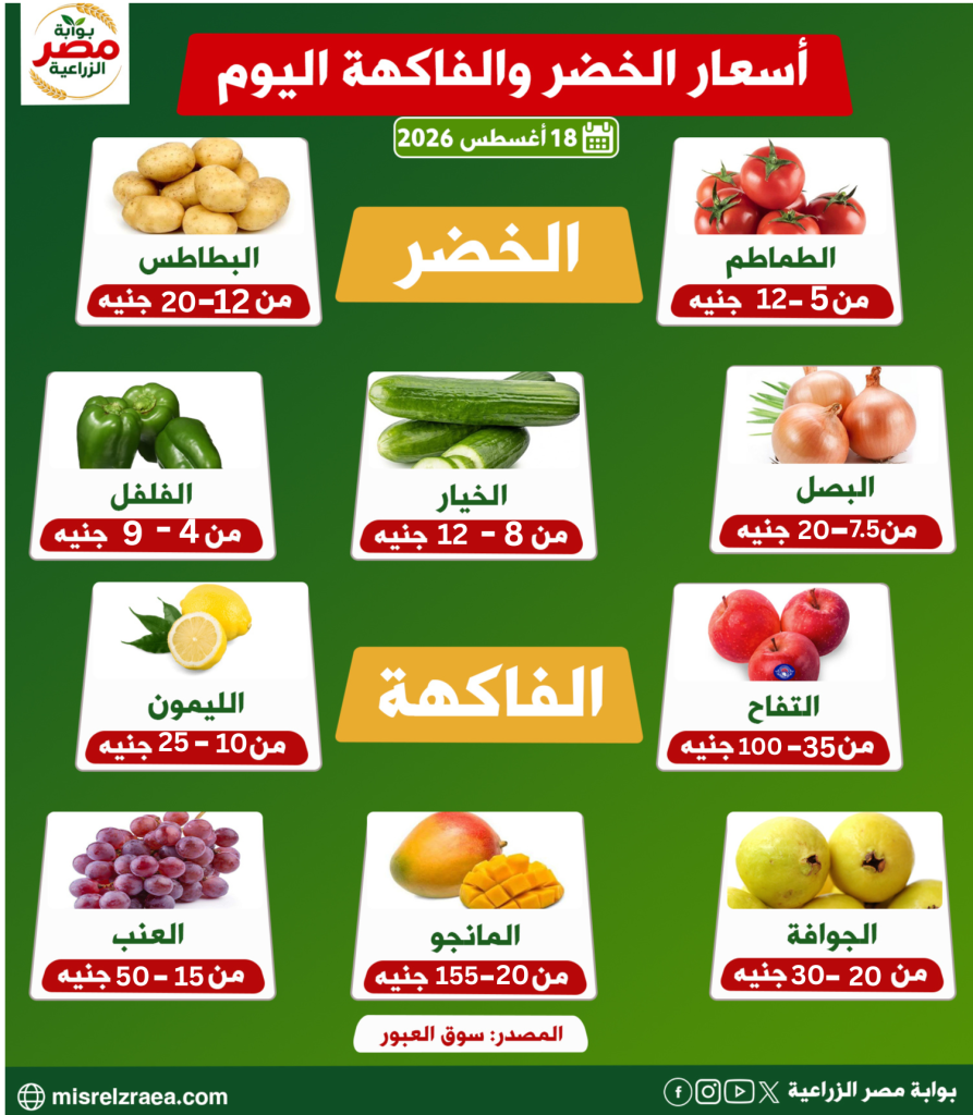 أسعار الخضر اليوم 18 أغسطس 2026 