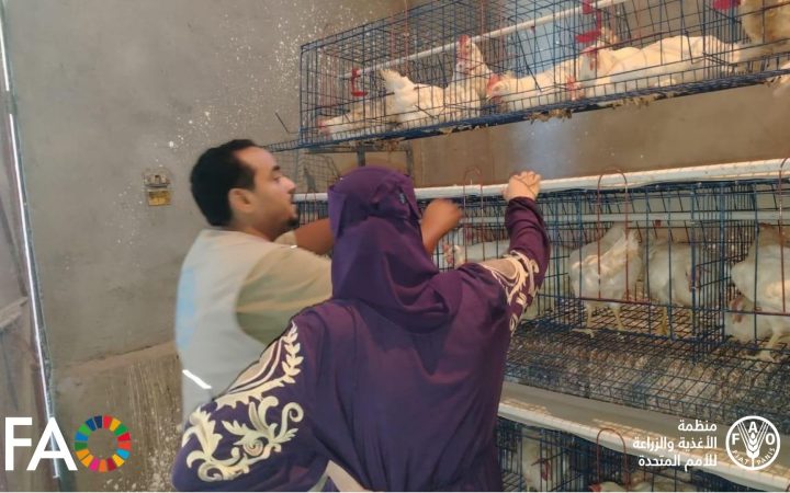 بشخ