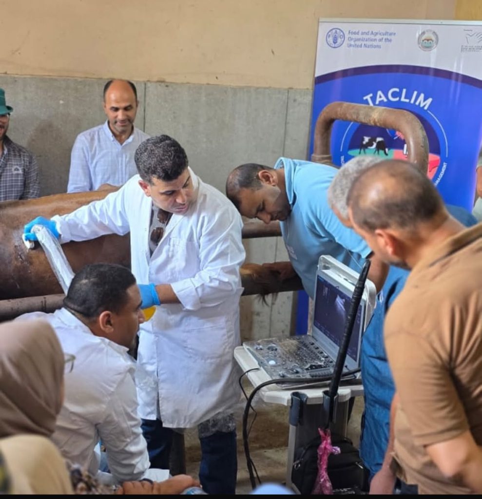  استخدام الموجات فوق الصوتية