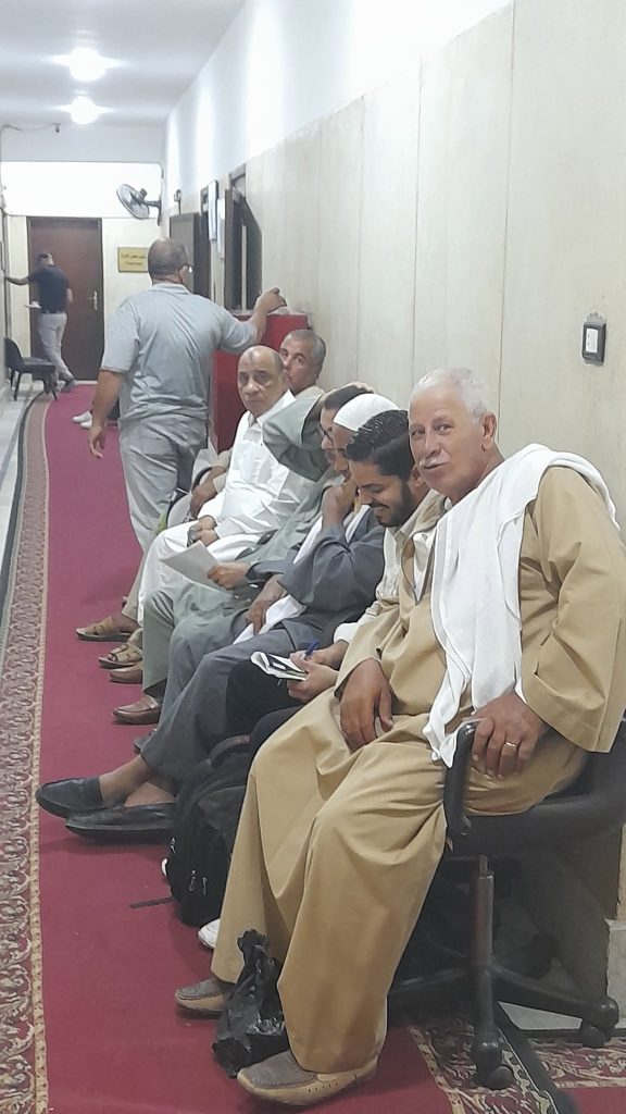 إقبال كبير على حجز تقاوي بطاطس العروة الصيفية باتحاد الحاصلات البستانية 12 تقاوي بطاطس العروة الصيفية
