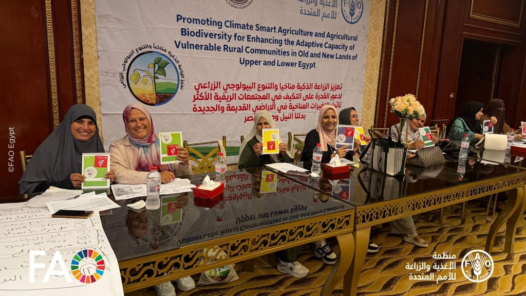 «الفاو» تدرب 25 ميسّرًا بالبحيرة ضمن مشروع «الزراعة الذكية مناخياً» 12 الزراعة الذكية مناخياً