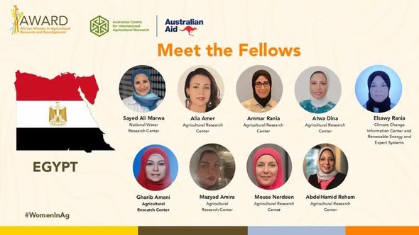 لتعزيز الصمود المناخي.. 9 باحثات مصريات في زمالة «AWARD» لـ القيادة الزراعية 12 القيادة الزراعية