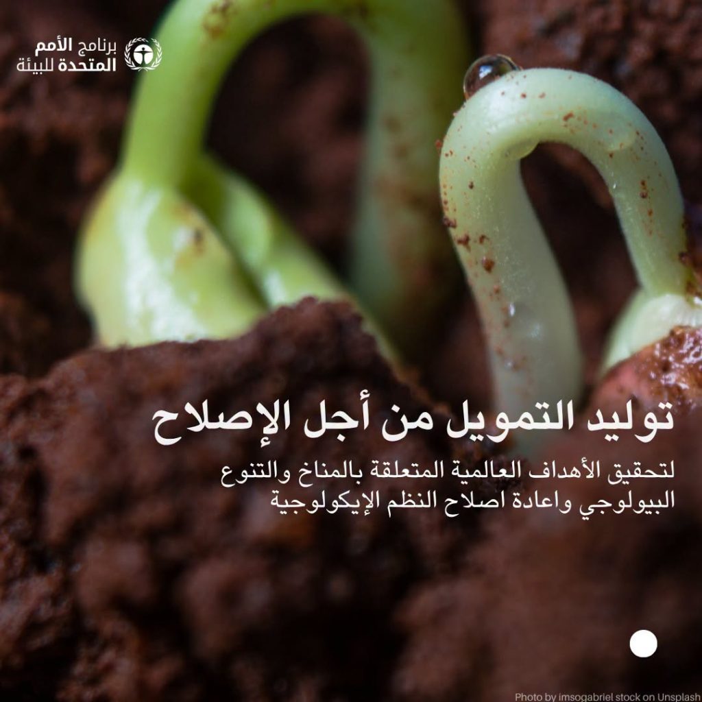 7 طرق لمكافحة التصحر والجفاف أوصى بها برنامج الأمم المتحدة للبيئة 12 طرق لمكافحة التصحر والجفاف