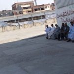 تقاوي بطاطس العروة الصيفية