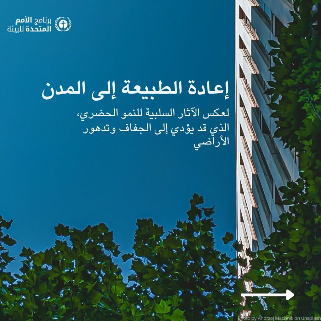 7 طرق لمكافحة التصحر والجفاف أوصى بها برنامج الأمم المتحدة للبيئة 13 طرق لمكافحة التصحر والجفاف