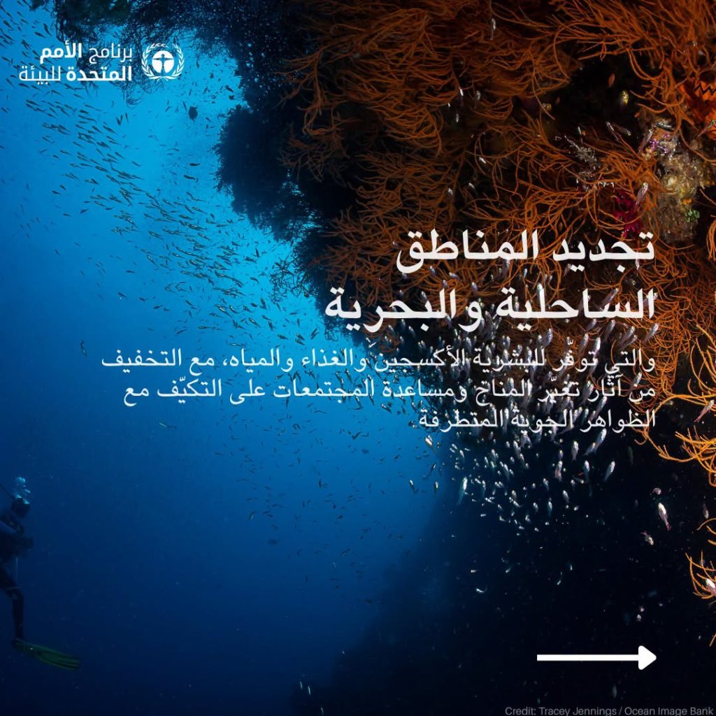 7 طرق لمكافحة التصحر والجفاف أوصى بها برنامج الأمم المتحدة للبيئة 14 طرق لمكافحة التصحر والجفاف