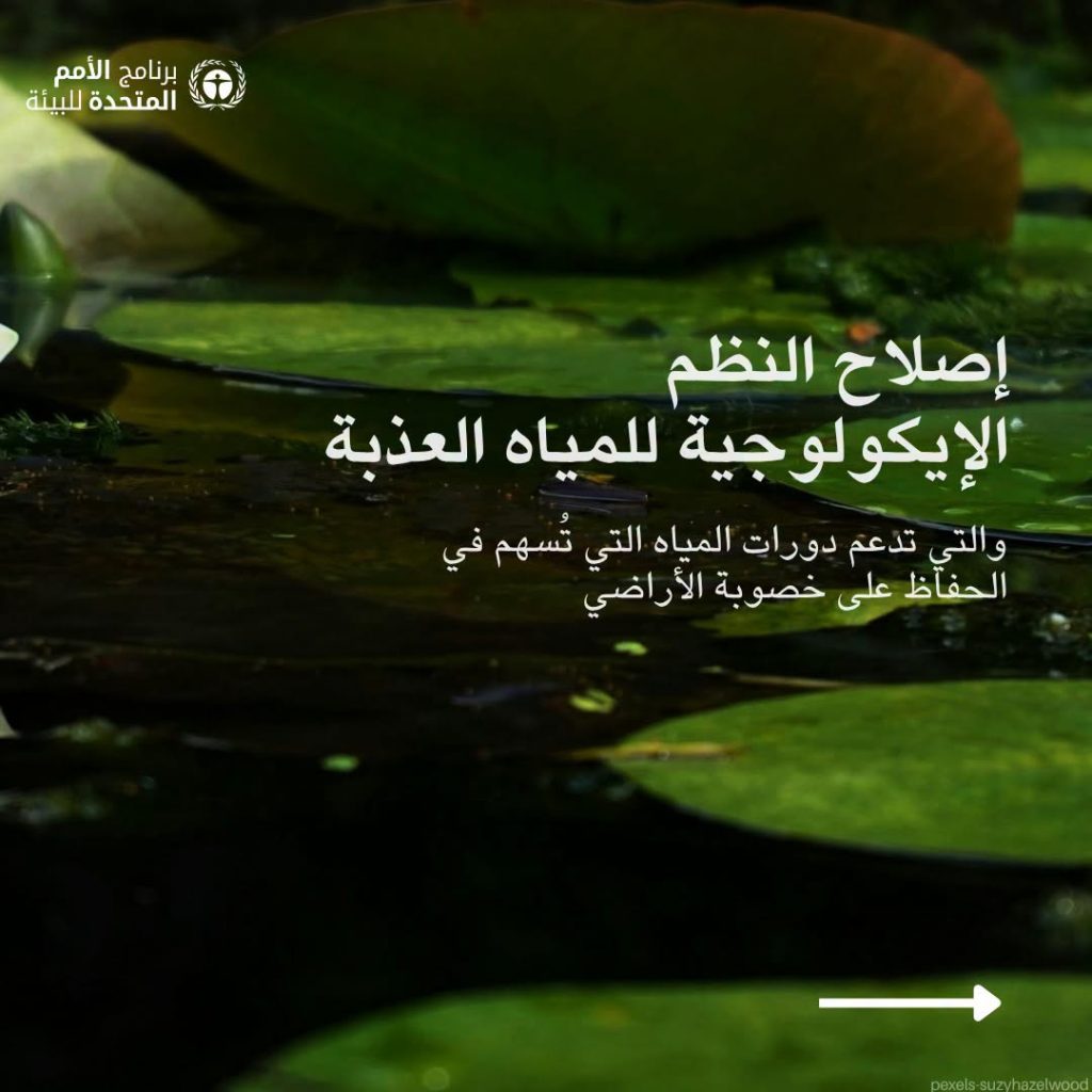 7 طرق لمكافحة التصحر والجفاف أوصى بها برنامج الأمم المتحدة للبيئة 15 طرق لمكافحة التصحر والجفاف