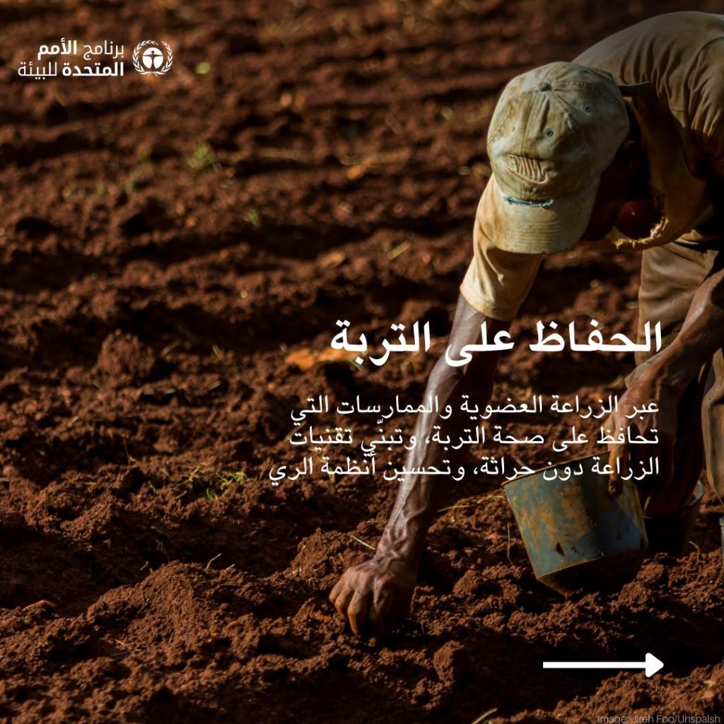 7 طرق لمكافحة التصحر والجفاف أوصى بها برنامج الأمم المتحدة للبيئة 17 طرق لمكافحة التصحر والجفاف