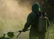 تصديري الحاصلات الزراعية ينظم تدريبا عن البدائل الحيوية للمبيدات