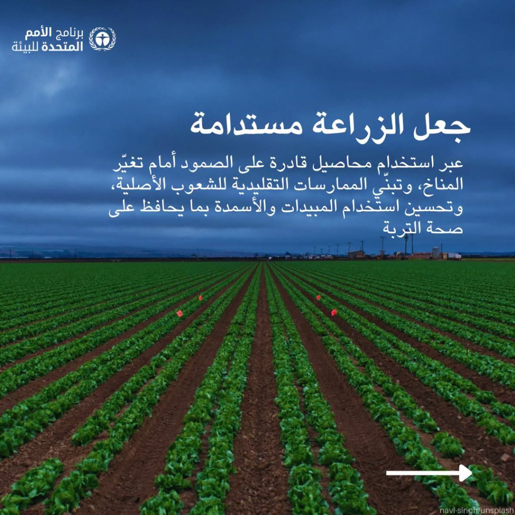 7 طرق لمكافحة التصحر والجفاف أوصى بها برنامج الأمم المتحدة للبيئة 18 طرق لمكافحة التصحر والجفاف