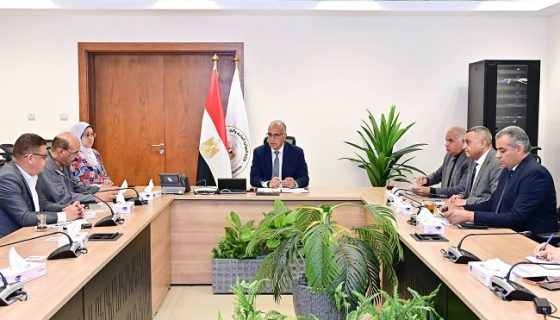 مشكلات الكباري