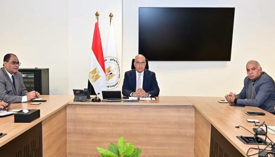المماشي النيلية