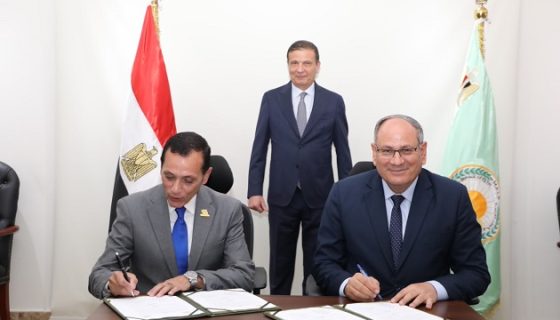 الريف المصري يحصل على حق تسويق هجين الطماطم F25 حصرياً 7 الريف المصري يحصل على حق تسويق هجين الطماطم F25 حصرياً