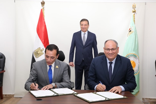 هجين الطماطم F25