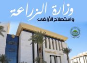 حماية الثروة الحيوانية والداجنة من الحرارة