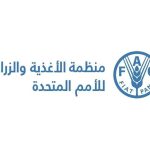 أسعار الغذاء العالمية
