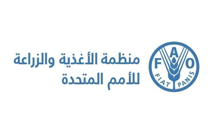 أسعار الغذاء العالمية
