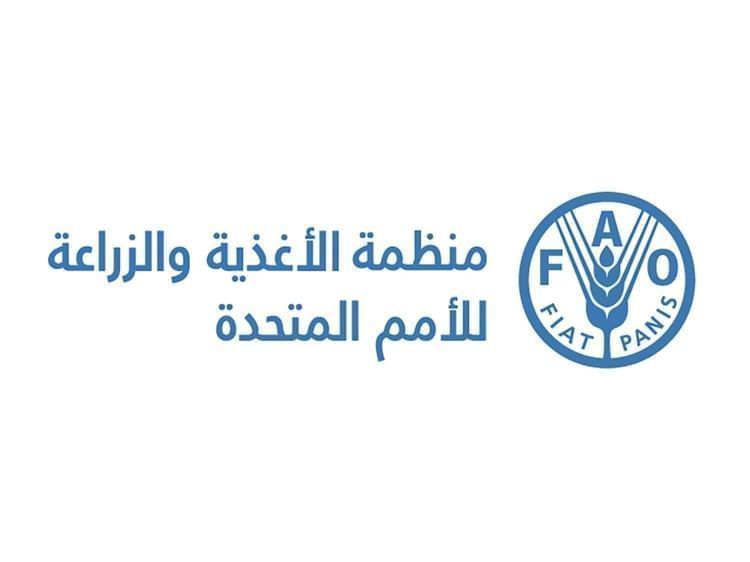 أسعار الغذاء العالمية