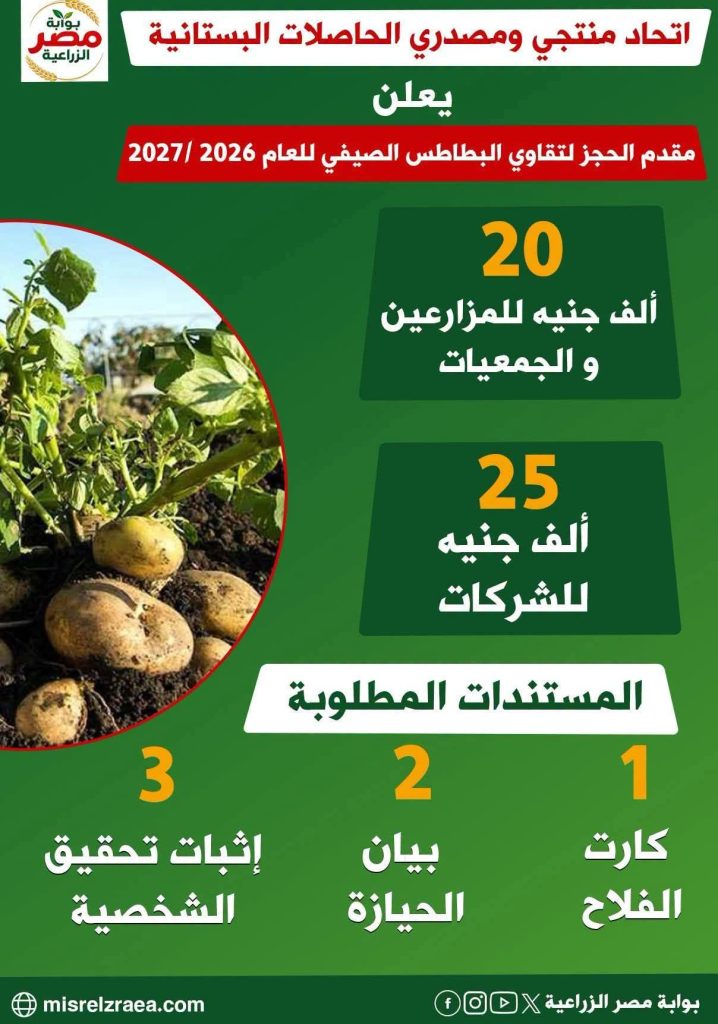 إقبال كبير على حجز تقاوي بطاطس العروة الصيفية باتحاد الحاصلات البستانية 13 تقاوي بطاطس العروة الصيفية