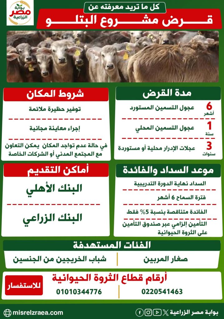 مدة سداد قرض البتلو.. وخطوات التقديم 12 قرض البتلو