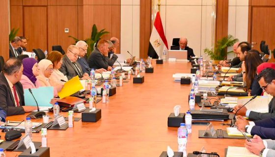 القابضة للأدوية تستهدف تحقيق 3.6 مليار جنيه أرباح خلال 2027 9 القابضة للأدوية تستهدف تحقيق 3.6 مليار جنيه أرباح خلال 2027