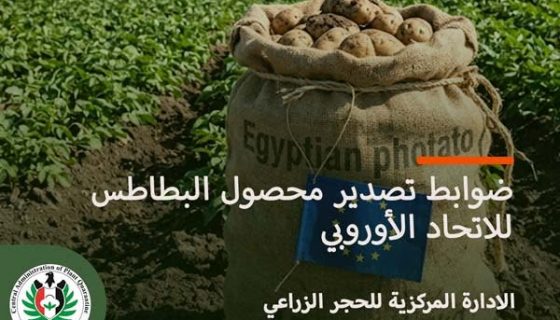 «تصديري الحاصلات» ينظم ندوة حول ضوابط تصدير البطاطس لأوروبا 7 «تصديري الحاصلات» ينظم ندوة حول ضوابط تصدير البطاطس لأوروبا