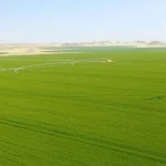 تقنين أراضي هيئة التعمير