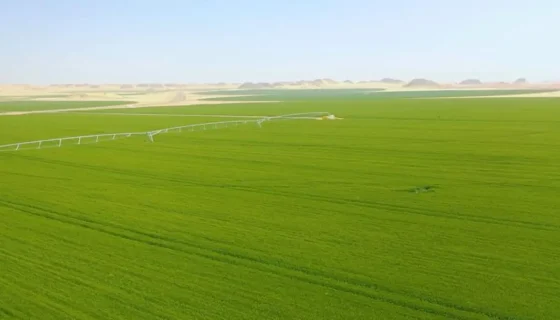 تقنين أراضي هيئة التعمير