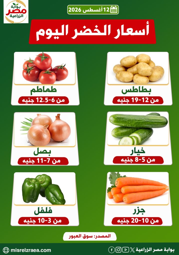 أسعار الخضر اليوم 12 أغسطس 2026 داخل أسواق الجملة 12 ثق43