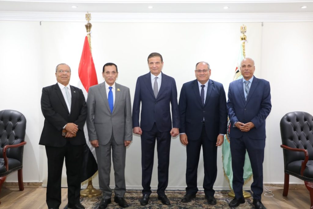 هجين الطماطم (F25) 