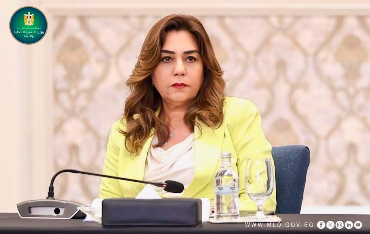 التنمية المحلية