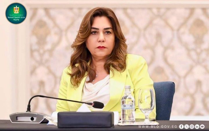 التنمية المحلية