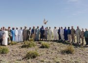 برنامج الشيخ زايد