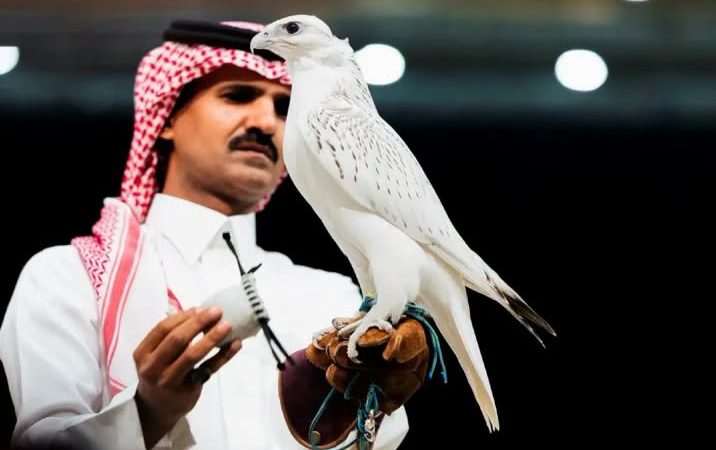 صقر كندي