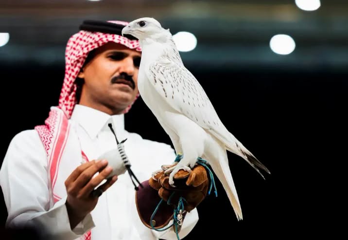 صقر كندي