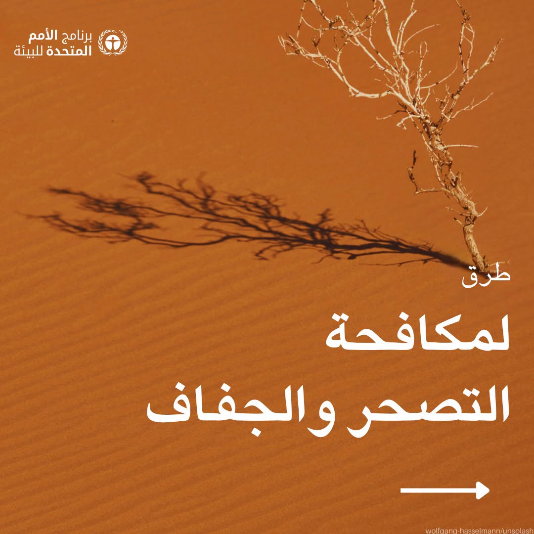 طرق لمكافحة التصحر والجفاف