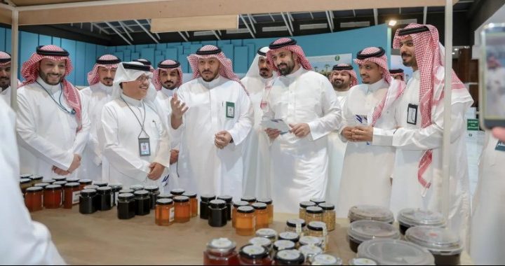 عسل نحل محلي