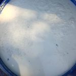 لبن فاسد