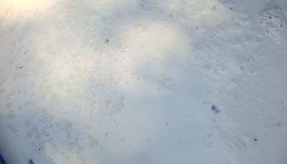 لبن فاسد
