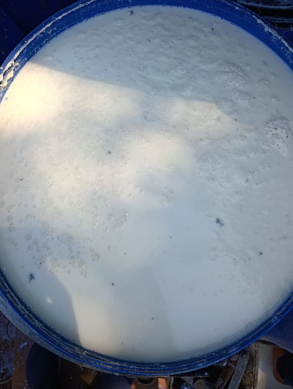 لبن فاسد